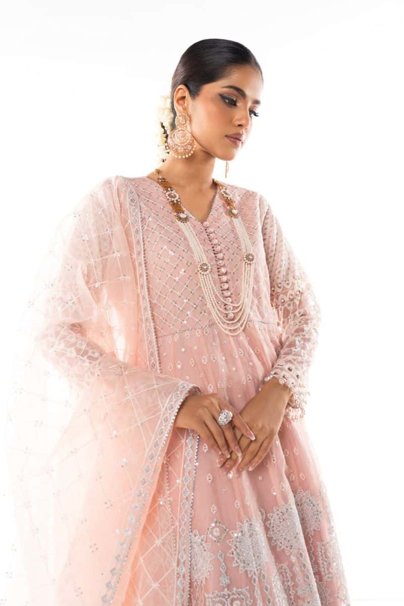 RTS | SHIRT, LINING, TROUSER & DUPATTA - alternate view