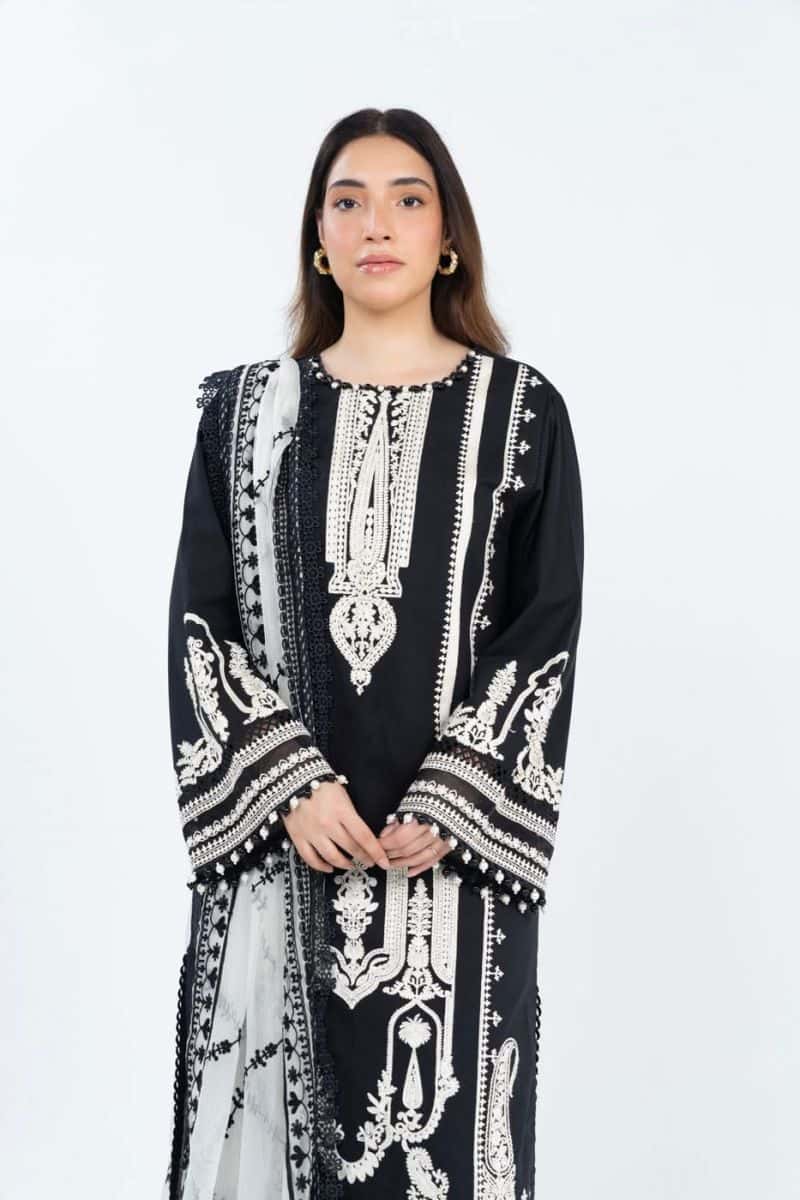 RTS | SHIRT, TROUSER & DUPATTA - alternate view