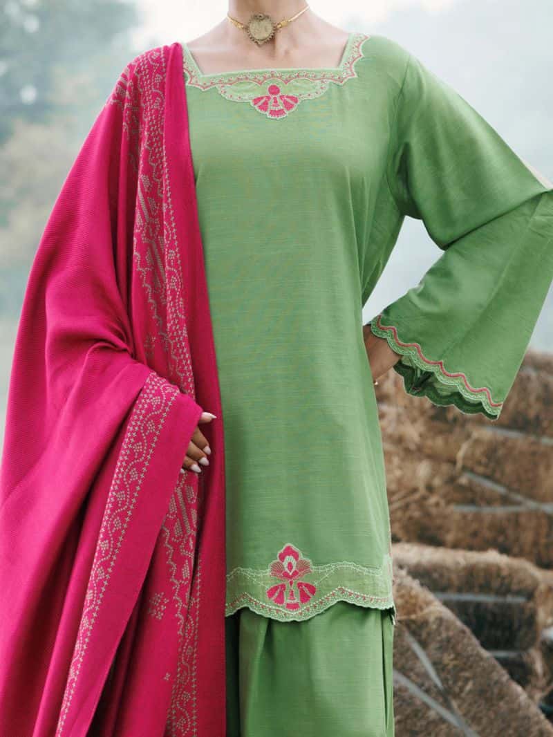 Parrot Green Light Khaddar Stitched 3Pc - alternate view