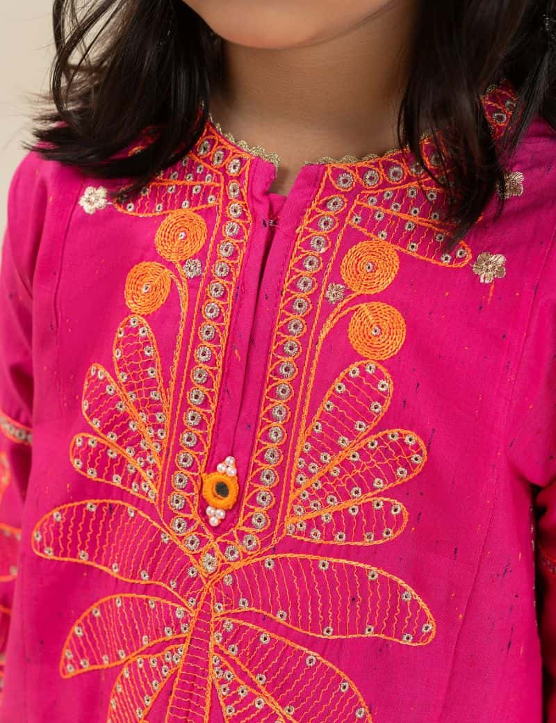 2 PIECE STYLISH EMBROIDERED SUIT - alternate view