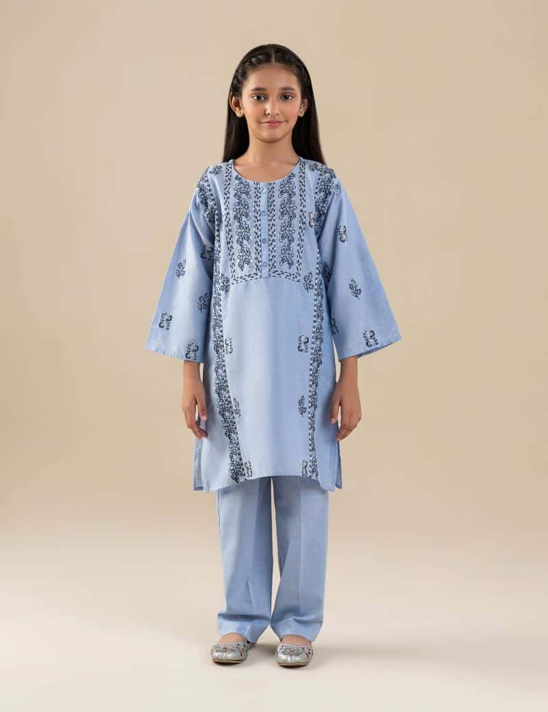 2 PIECE ETHNIC EMBROIDERED SUIT