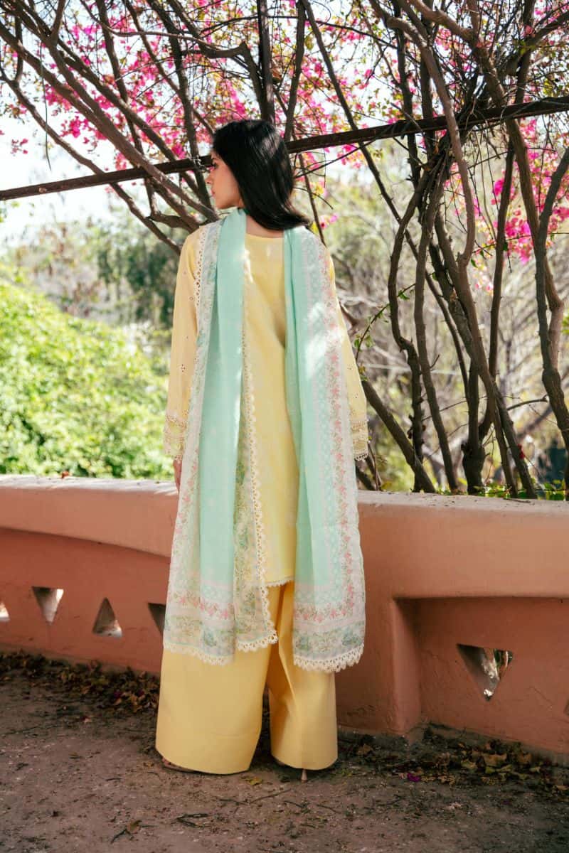 NOOR - alternate view