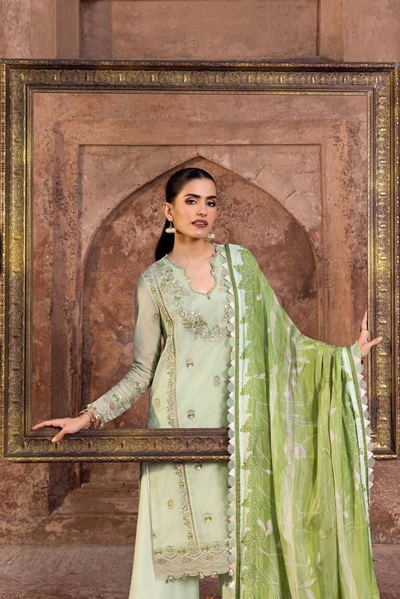 3 Pc Unstitched Embroidered Silk Cotton Net Suit - alternate view