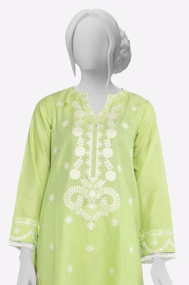 Light Green Embroidered 2PC - alternate view