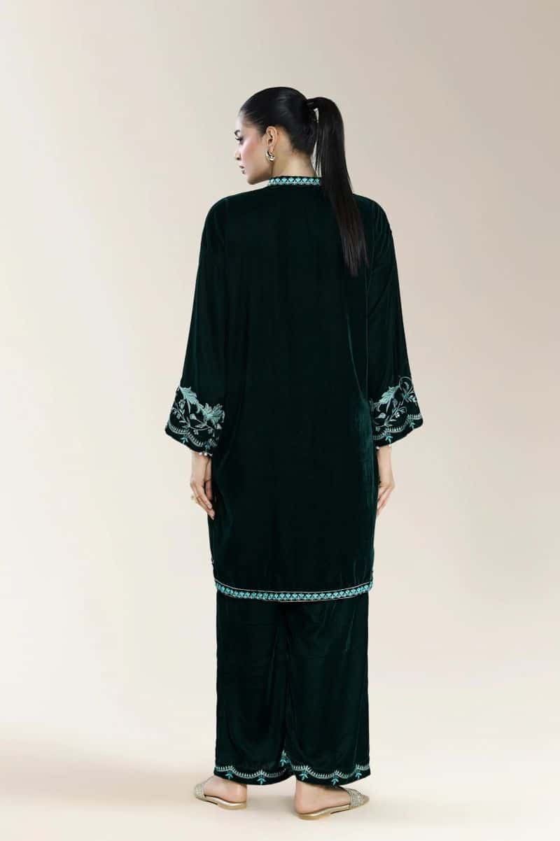 Embroidered 2PC - alternate view