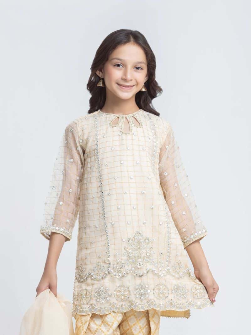 Embroidered Organza Suit - alternate view