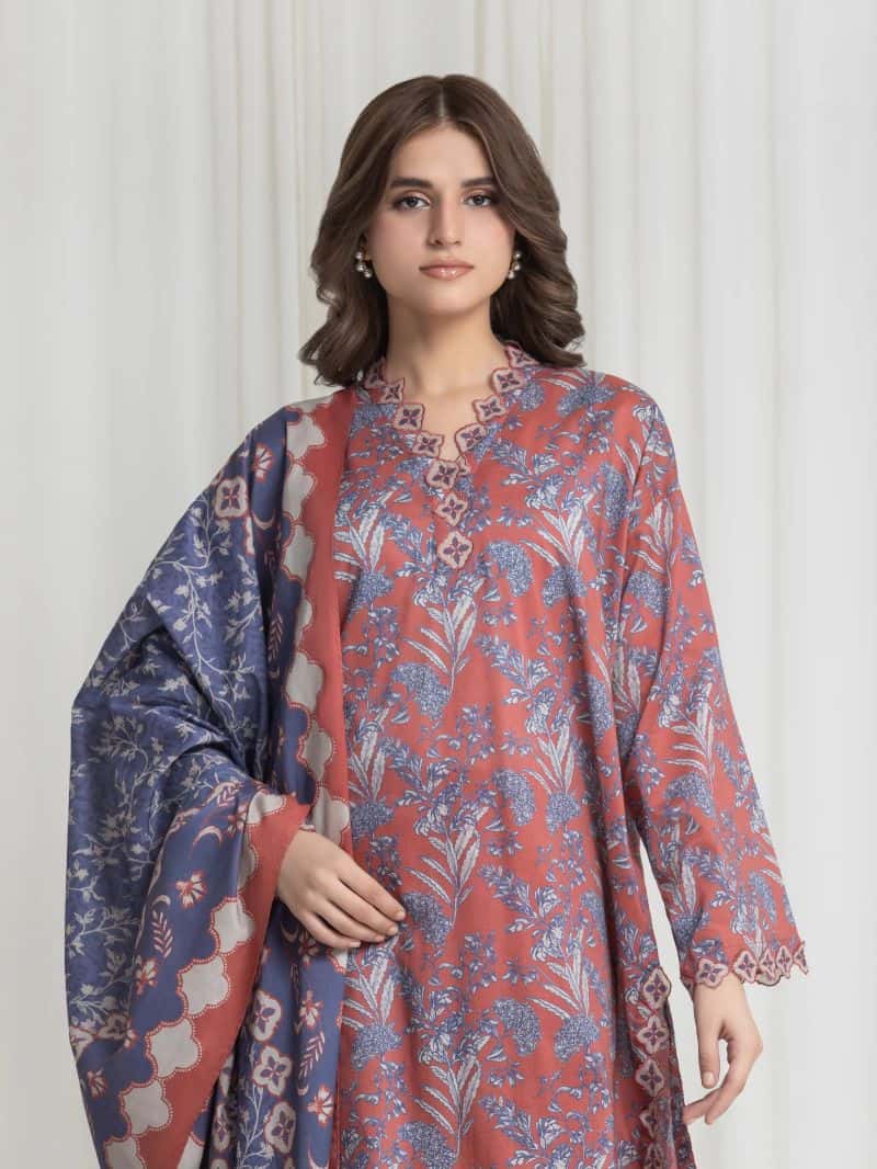 Printed Lawn Suit - alternate view