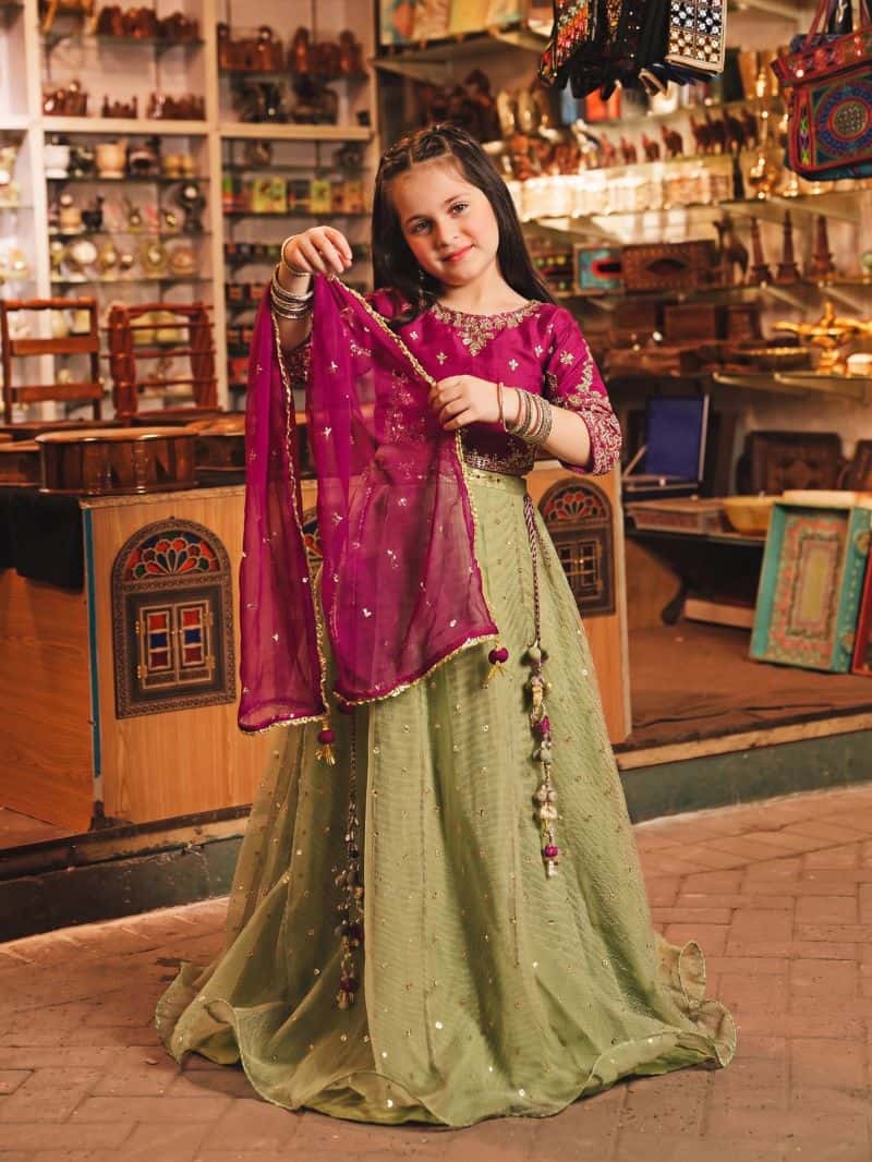Embroidered Raw Silk Lehenga Suit - EGTPLED6-50123-3P