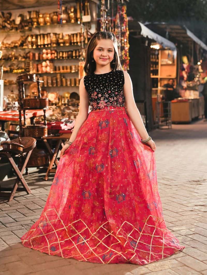 Embroidered Organza Lehenga Suit - EGTPLEP5-50051CL