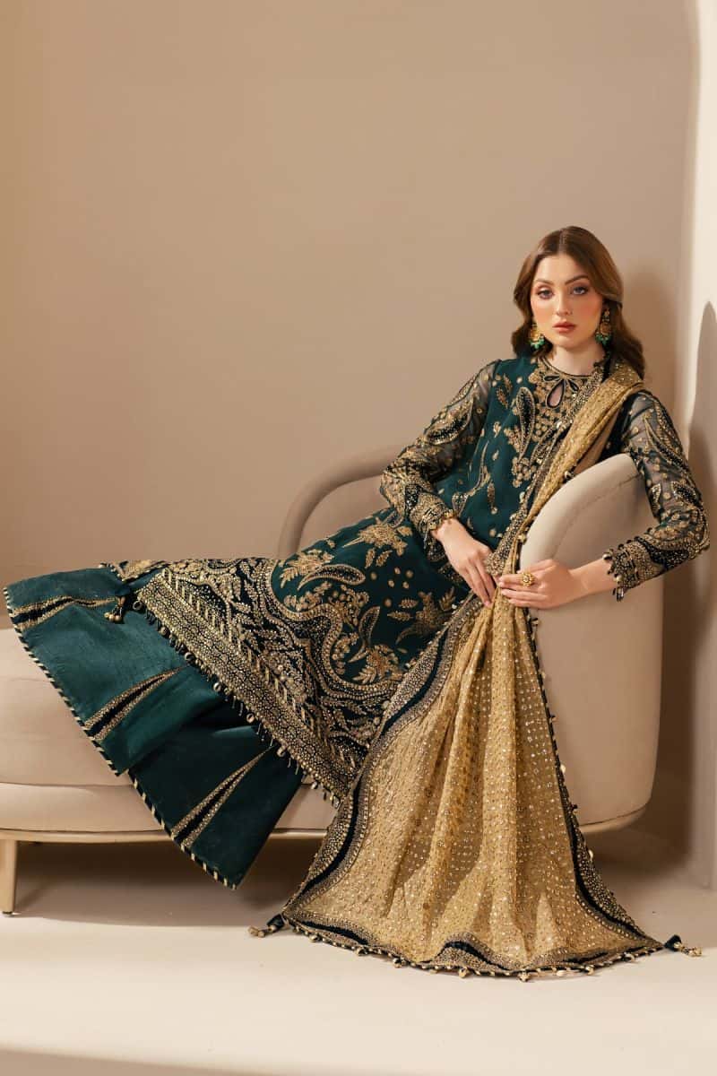 EMBROIDERED CHIFFON WF'25-06 - alternate view