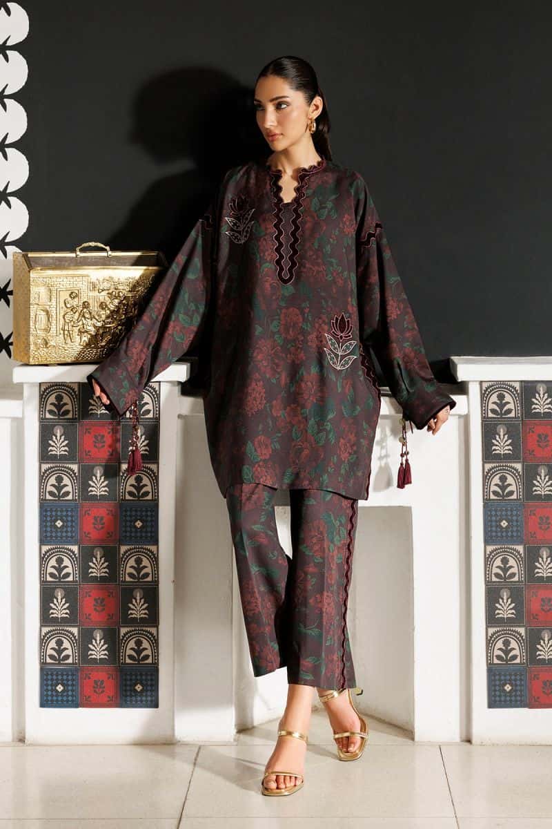 Embroidered Velvet Ready-to-Wear Suit (RTW-1330) - alternate view