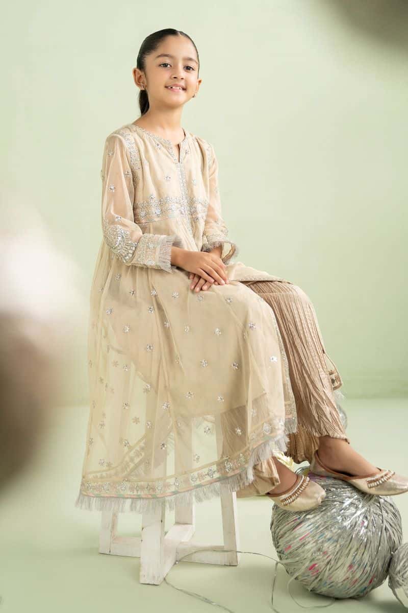 2 Piece Embroidered Net Suit - alternate view