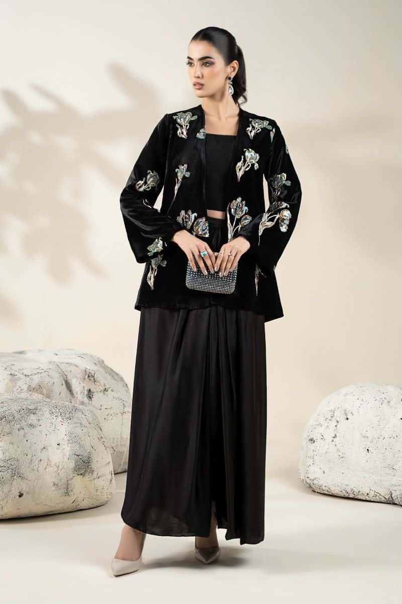 Embellished Velvet Fabric (1Pc) | LF-CH25-07 - alternate view