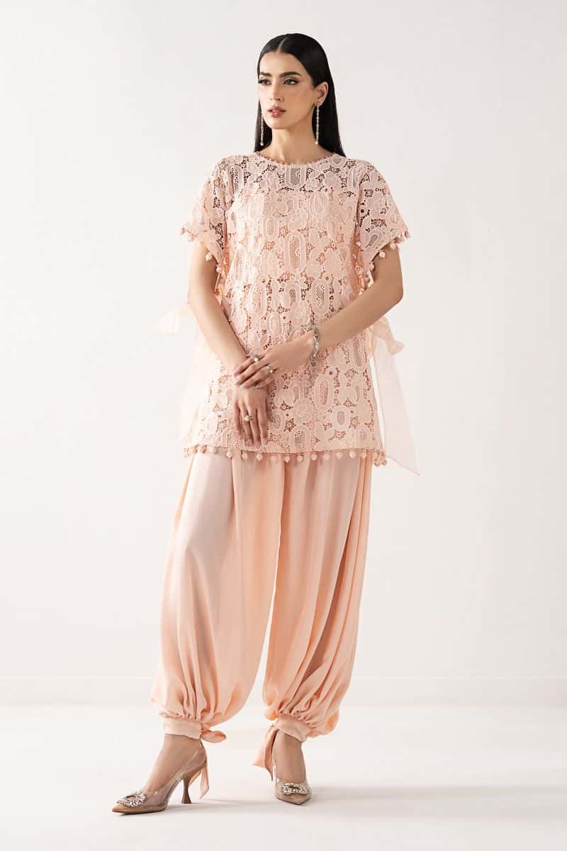Embroidered Georgette Fabric (1Pc)