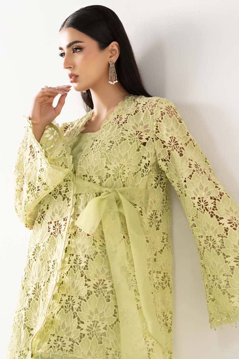 Embroidered Georgette Fabric (1Pc) - alternate view