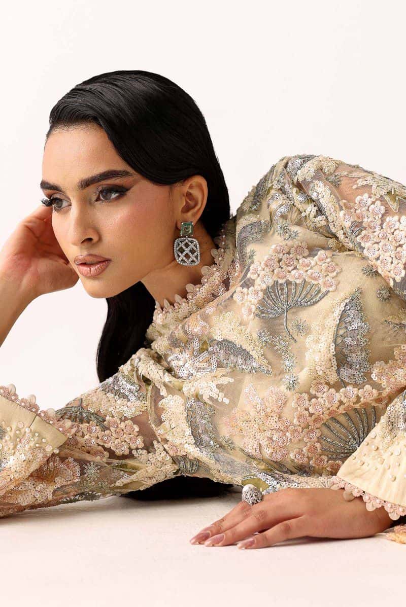 Embroidered Net Fabric (1Pc) - alternate view