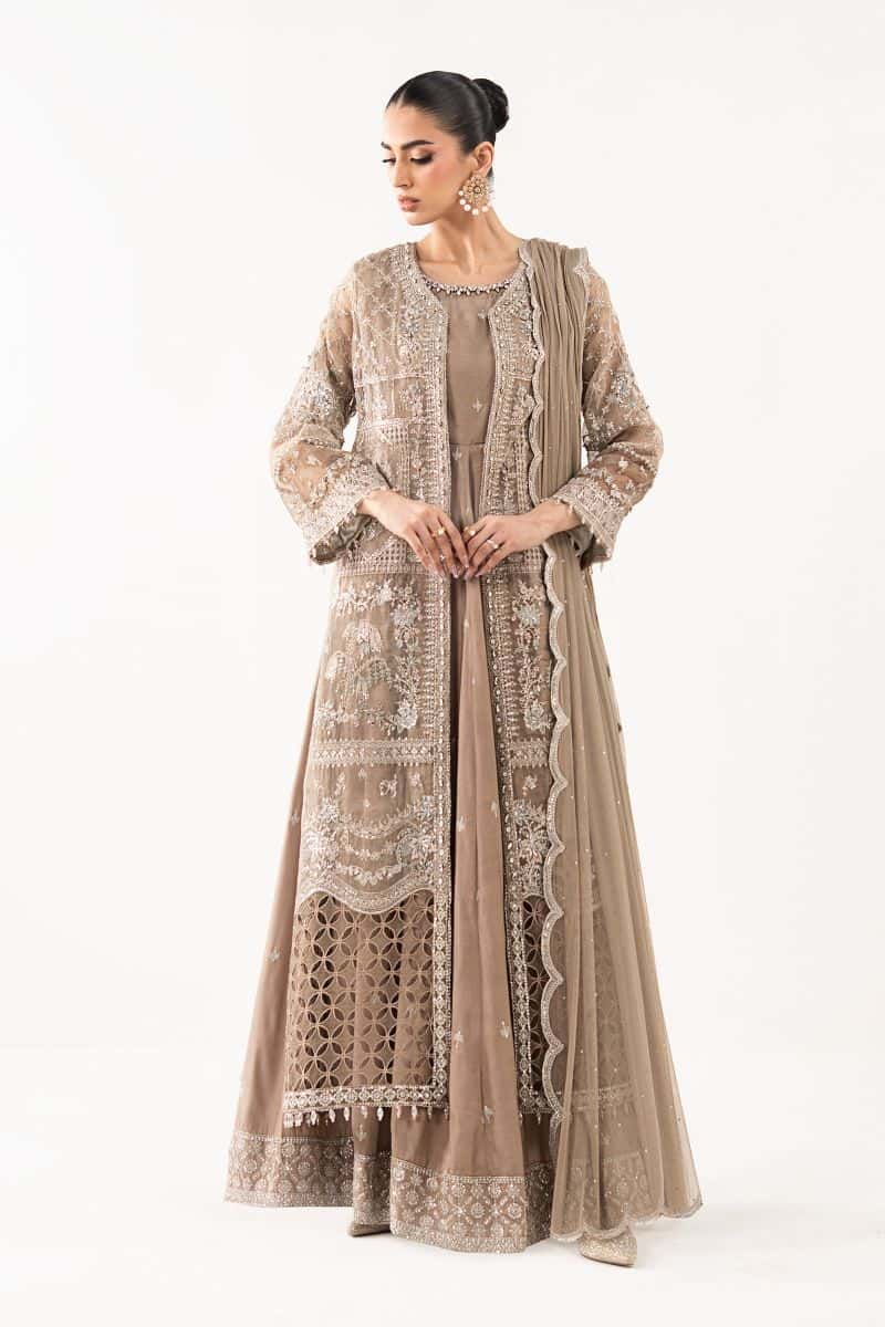 3 Piece Embroidered Organza Suit - alternate view