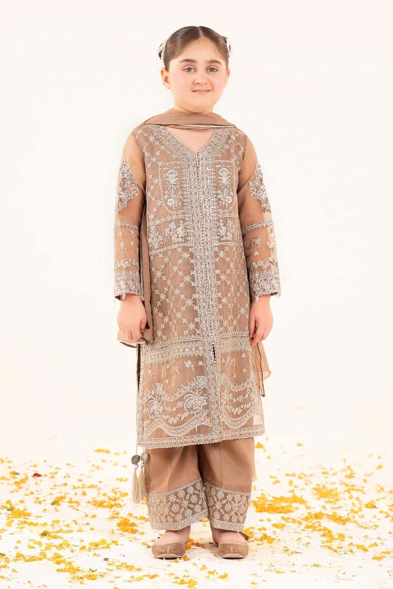 3 Piece Embroidered Organza Suit