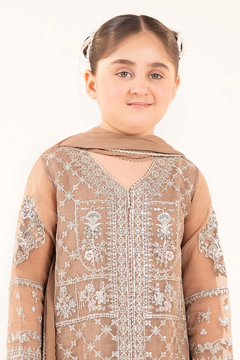 3 Piece Embroidered Organza Suit - alternate view