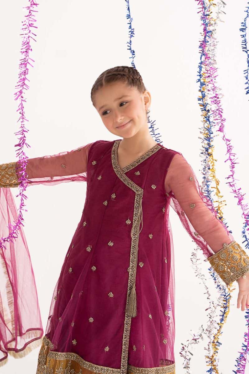 3 Piece Embroidered Net Suit - alternate view