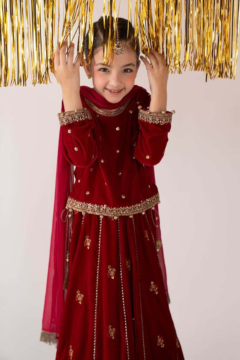 3 Piece Embroidered Velvet Suit