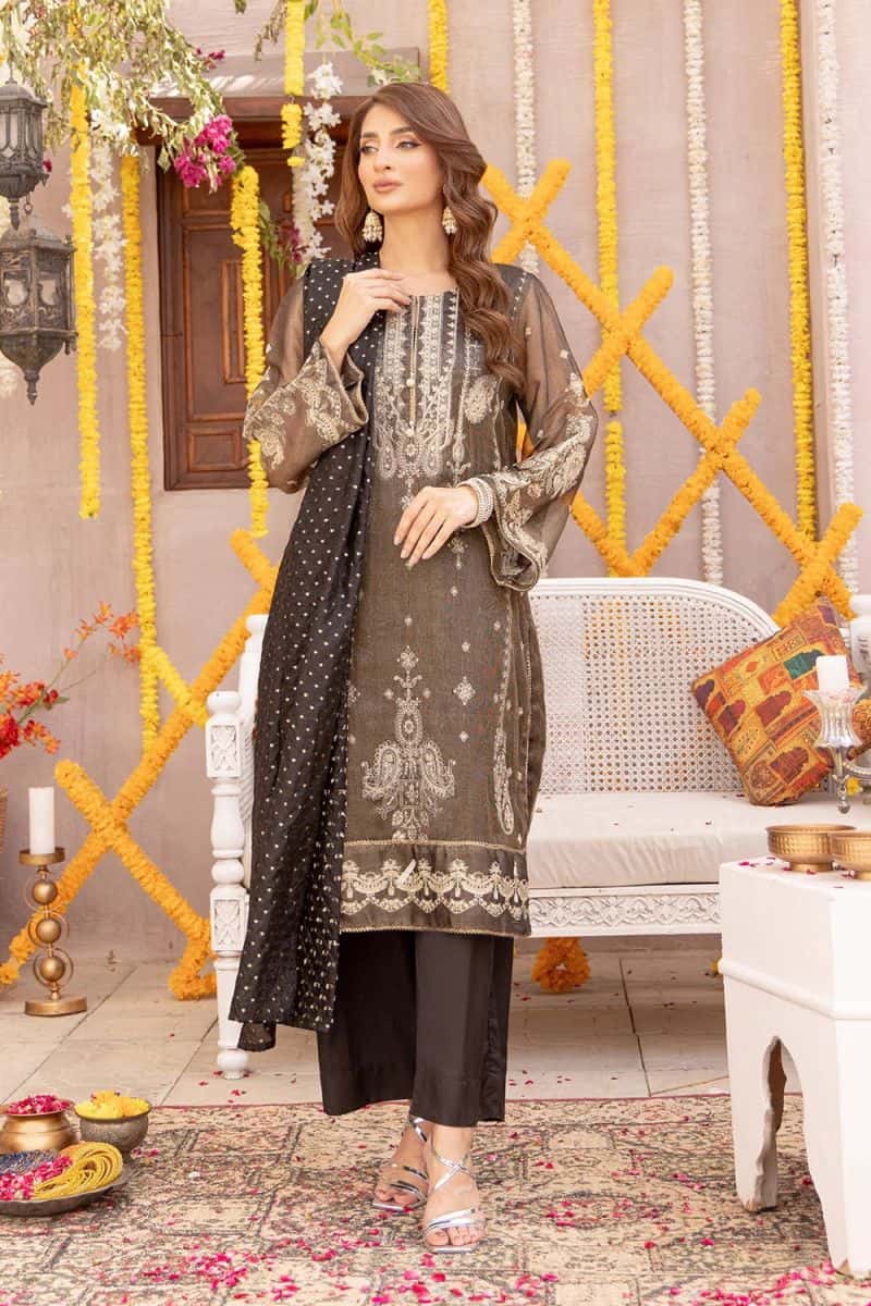 3 Piece - Embroidered Zari Net Suit - alternate view