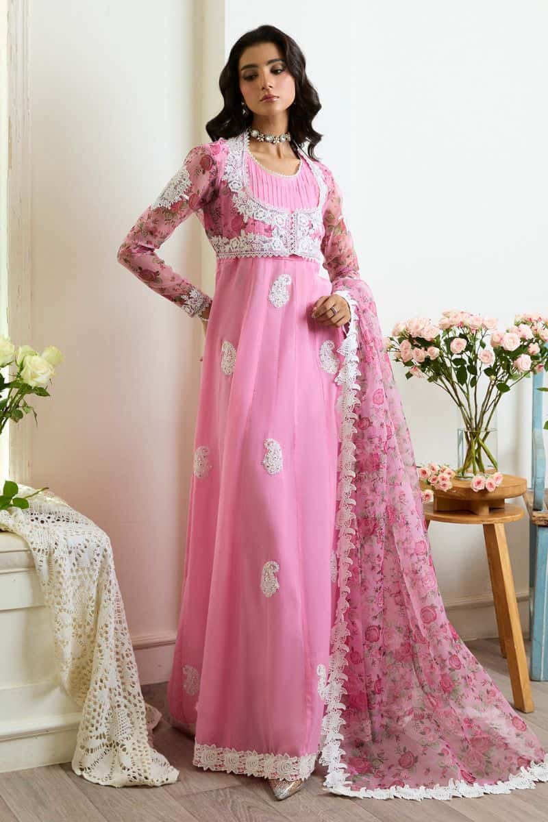 NAZAARA – 3PC PAPER COTTON & ORGANZA LUXURY PRET - alternate view