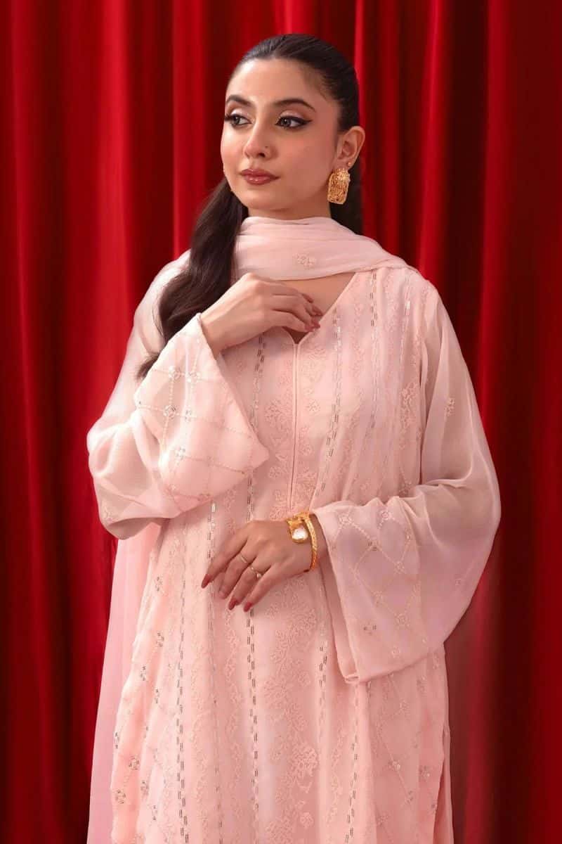 Chiffon Embroidered 3 Pc Suit - alternate view