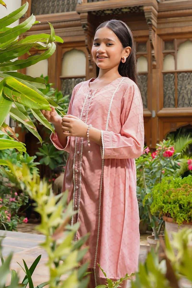 Chambray Cotton Embellished 2 Pc Suit - alternate view