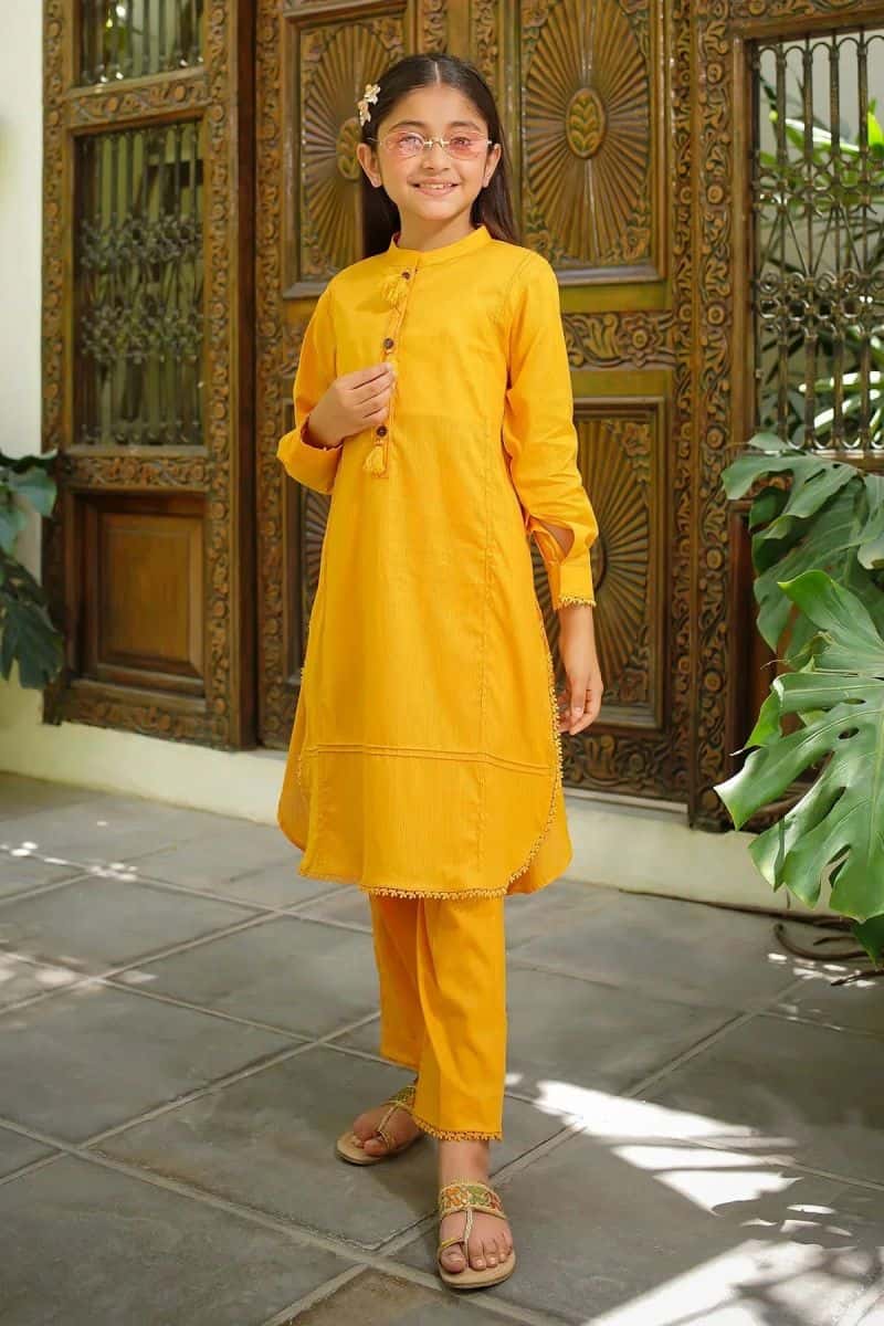 Dobby Cotton Embellished 2 Pc Suit - alternate view