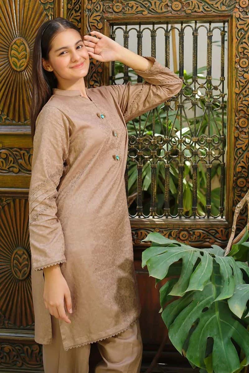 Dobby Cotton Embellished 2 Pc Suit - alternate view