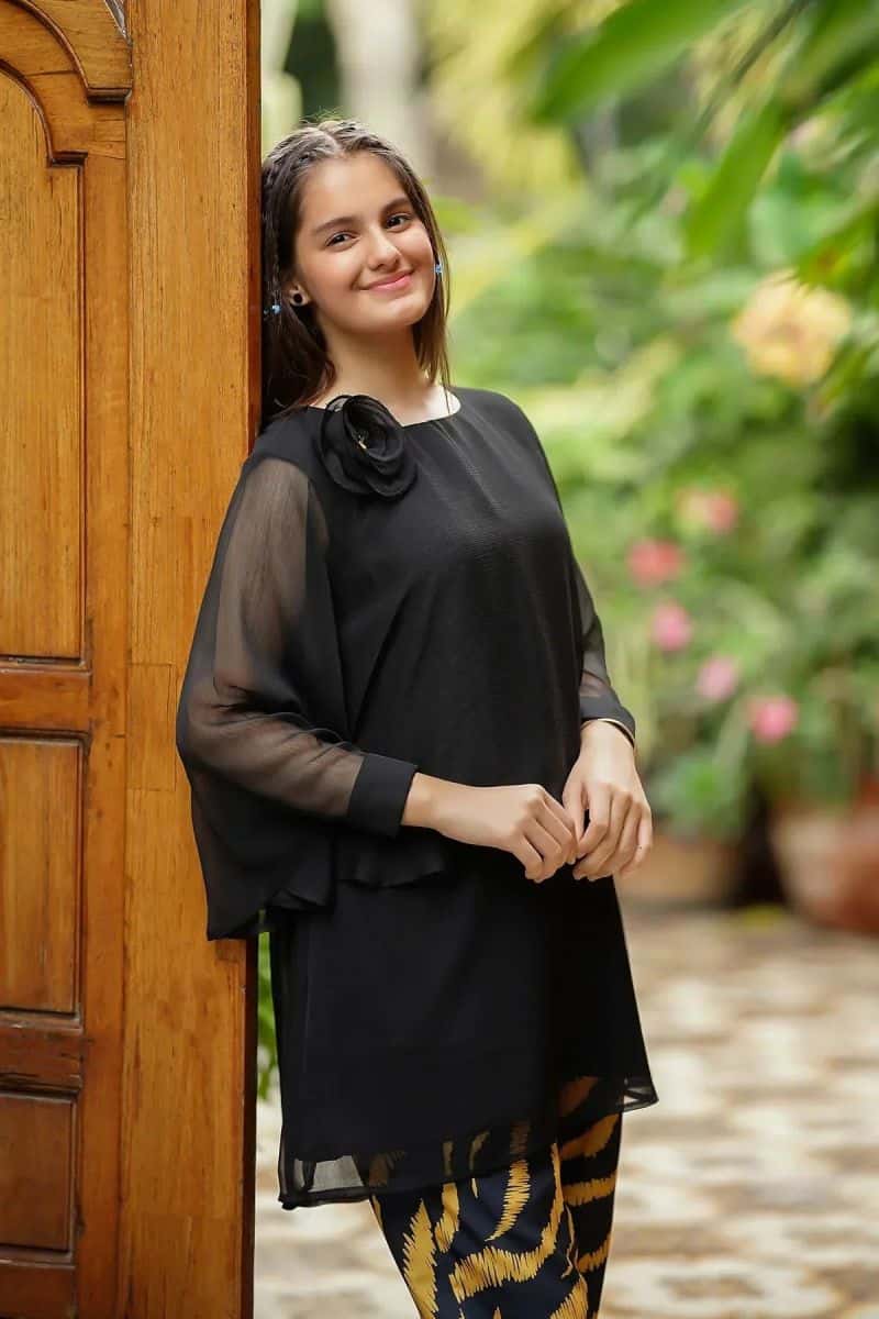 Chiffon Embellished 2 Pc Suit - alternate view