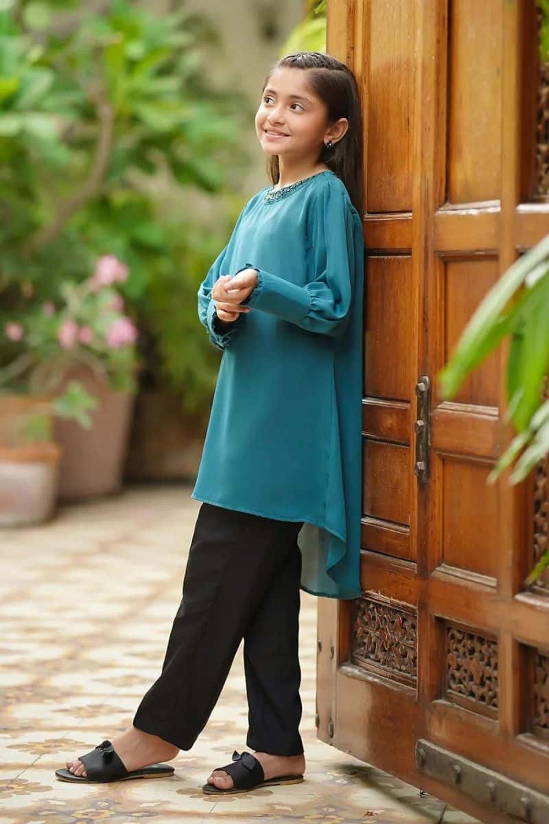 Georgette Hand Work 2 Pc Suit - alternate view