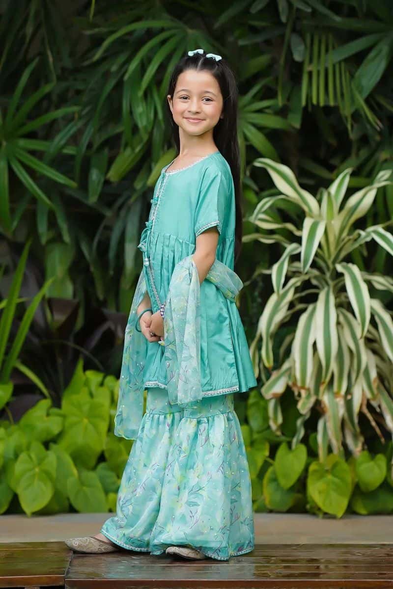 Cotton Silk Embellished 3 Pc Suit - alternate view