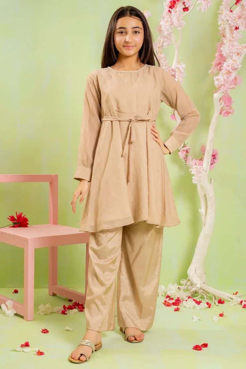 Organza Hand Adda Work 2 Pc Suit