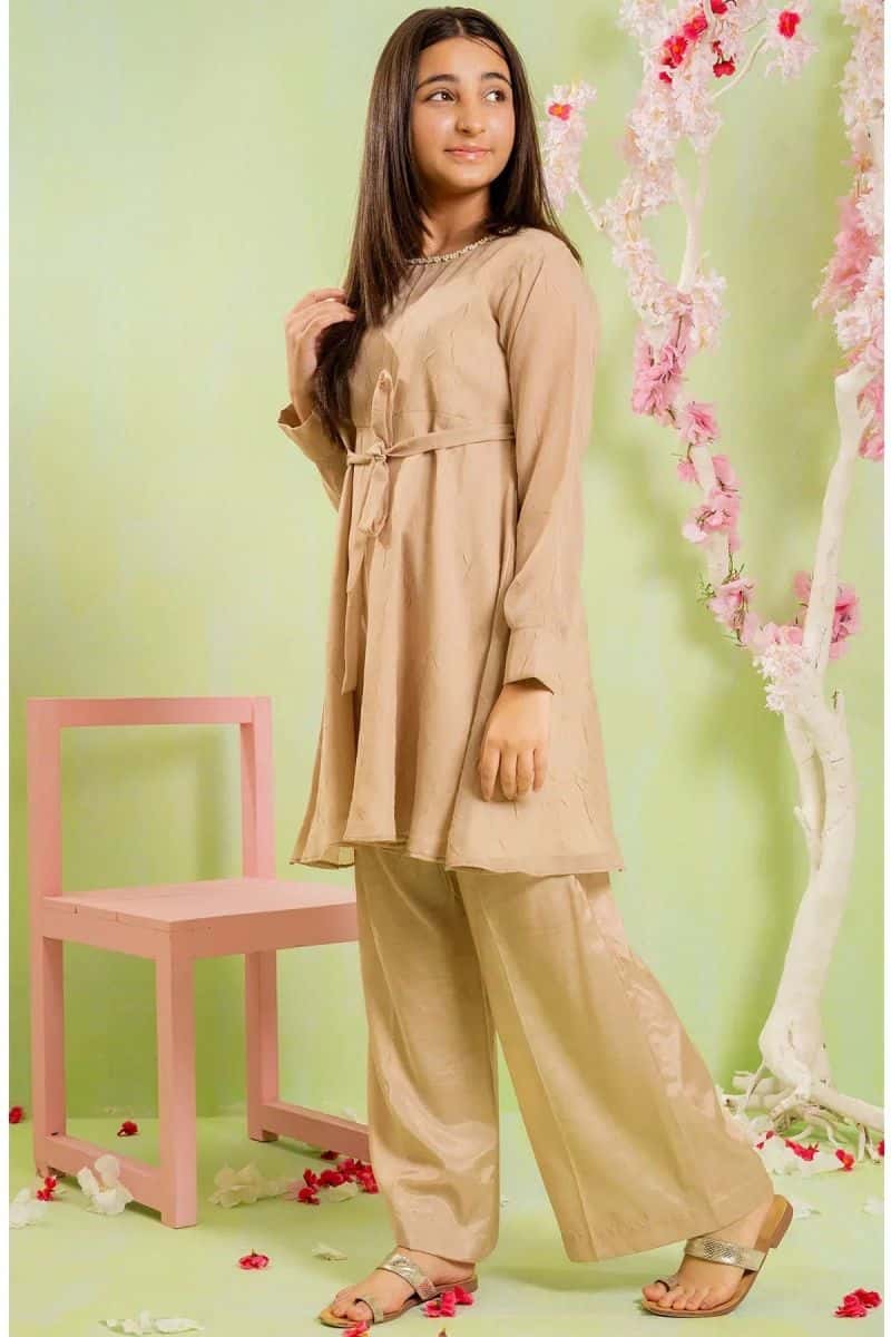 Organza Hand Adda Work 2 Pc Suit - alternate view