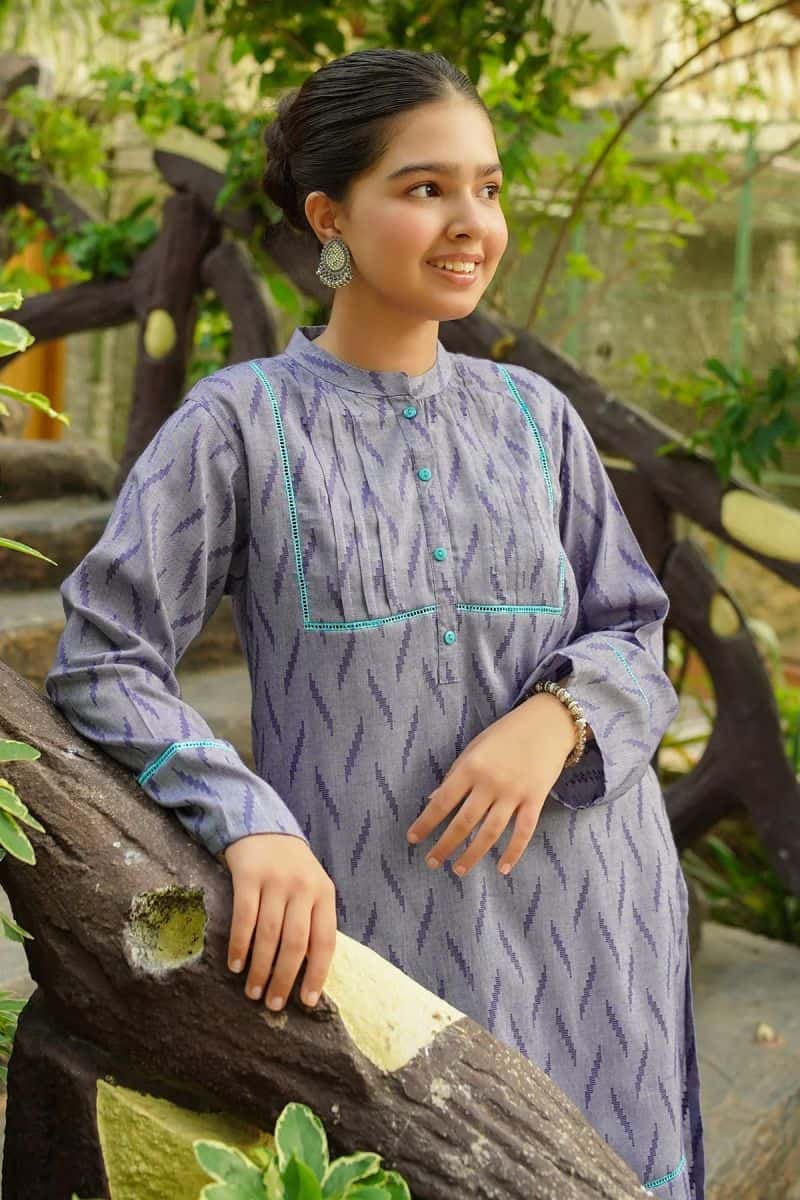 Chambray Cotton Embellished 2 Pc Suit - alternate view