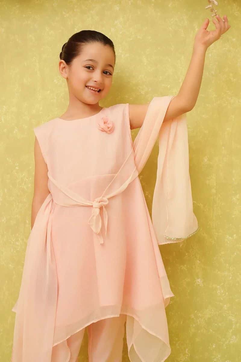 Chiffon Embroidered 3 Pc Suit - alternate view