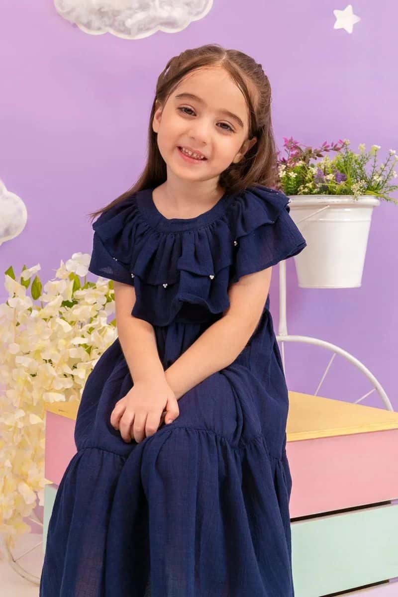 Chambray Cotton Dress - alternate view