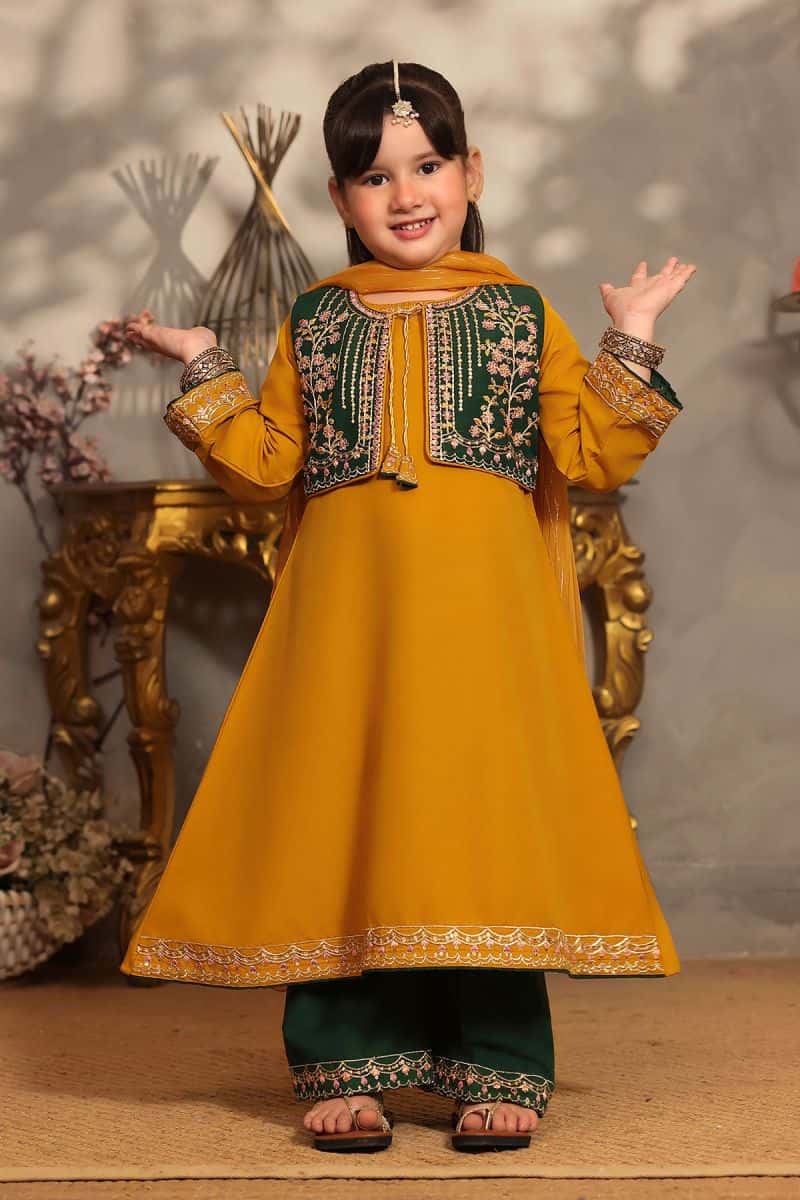 Raw Silk Embroidered 3 Pc Suit