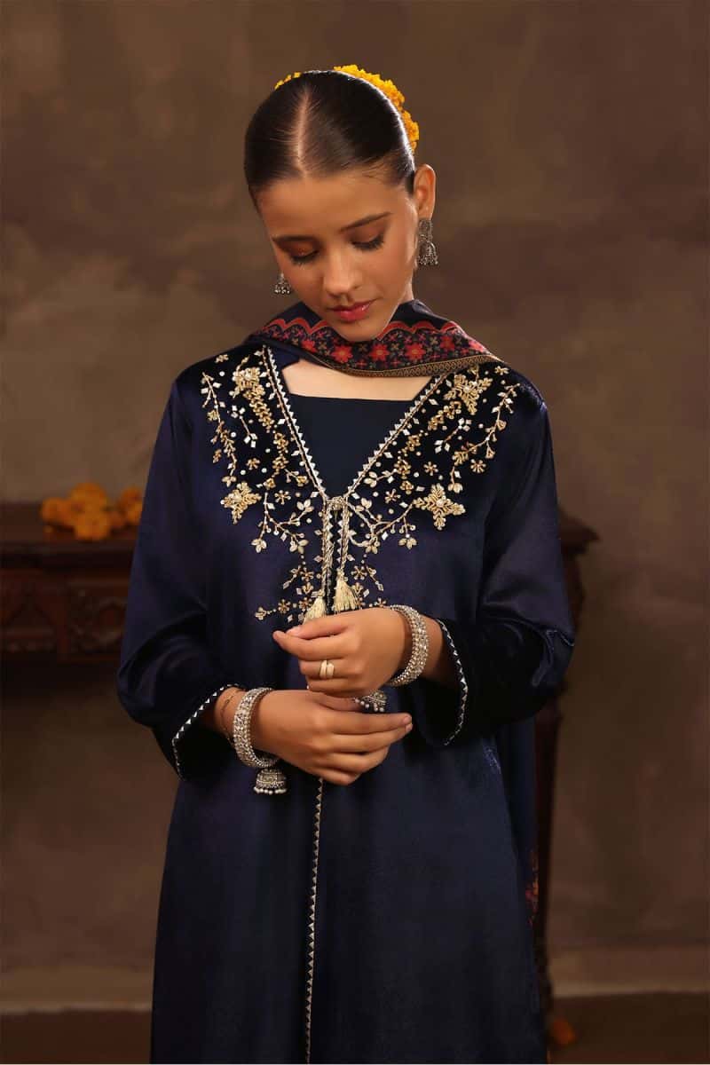 Velvet Hand Adda Work 3 Pc Suit - alternate view