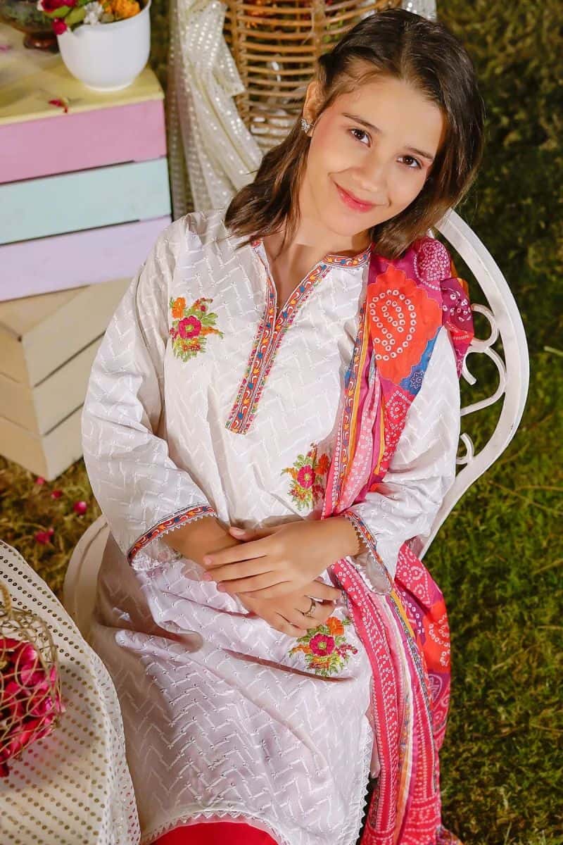 Chikankari Embroidered 3 Pc Suit - alternate view