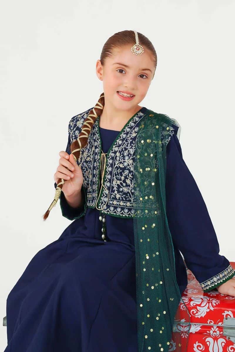 Raw Silk Embroidered 3 Pc Suit - alternate view