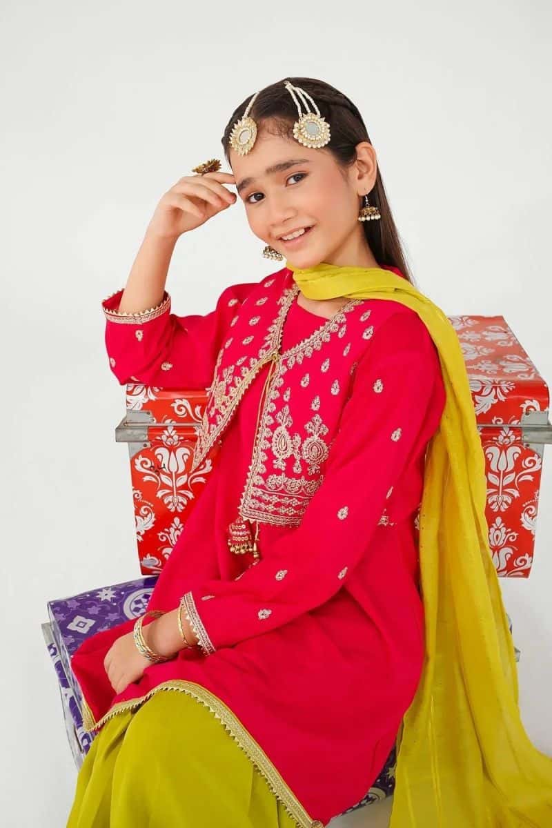 Raw Silk Embroidered 3 Pc Suit - alternate view