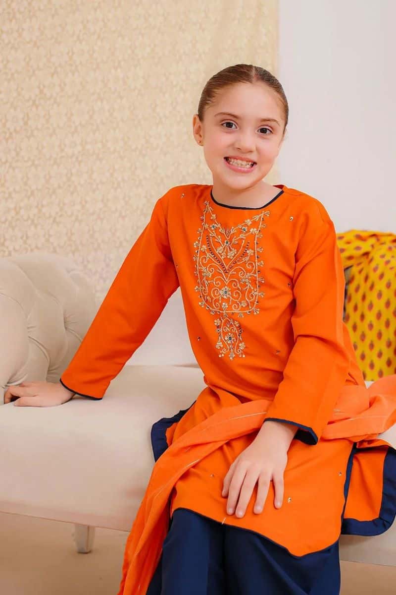Raw Silk Hand Adda Work 3 Pc Suit - alternate view