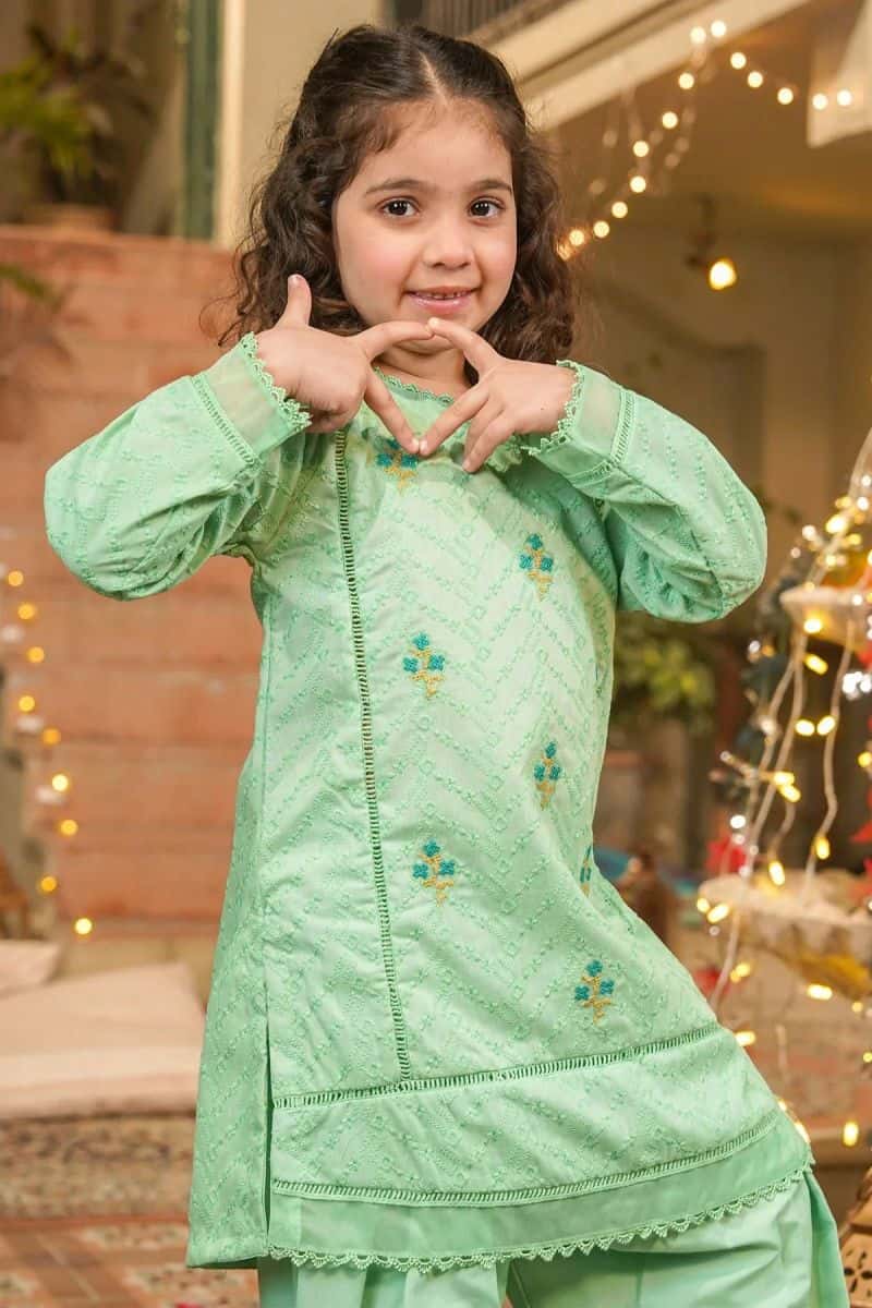 Chikankari Embroidered 3 Pc Suit - alternate view