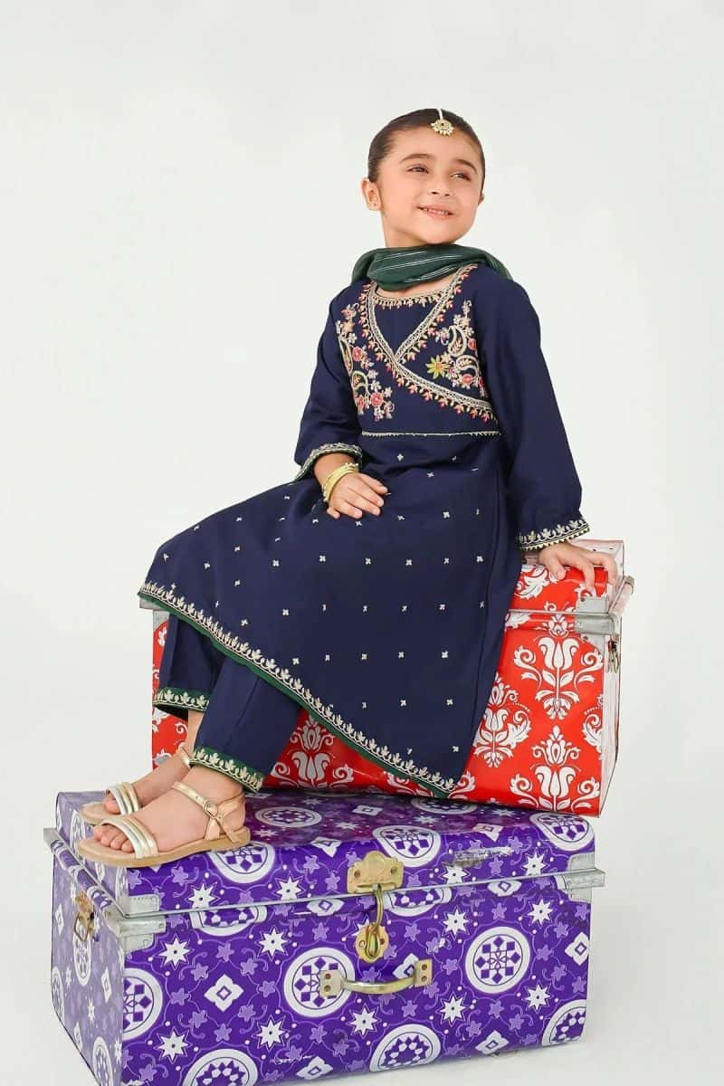 Raw Silk Embroidered 3 Pc Suit - alternate view