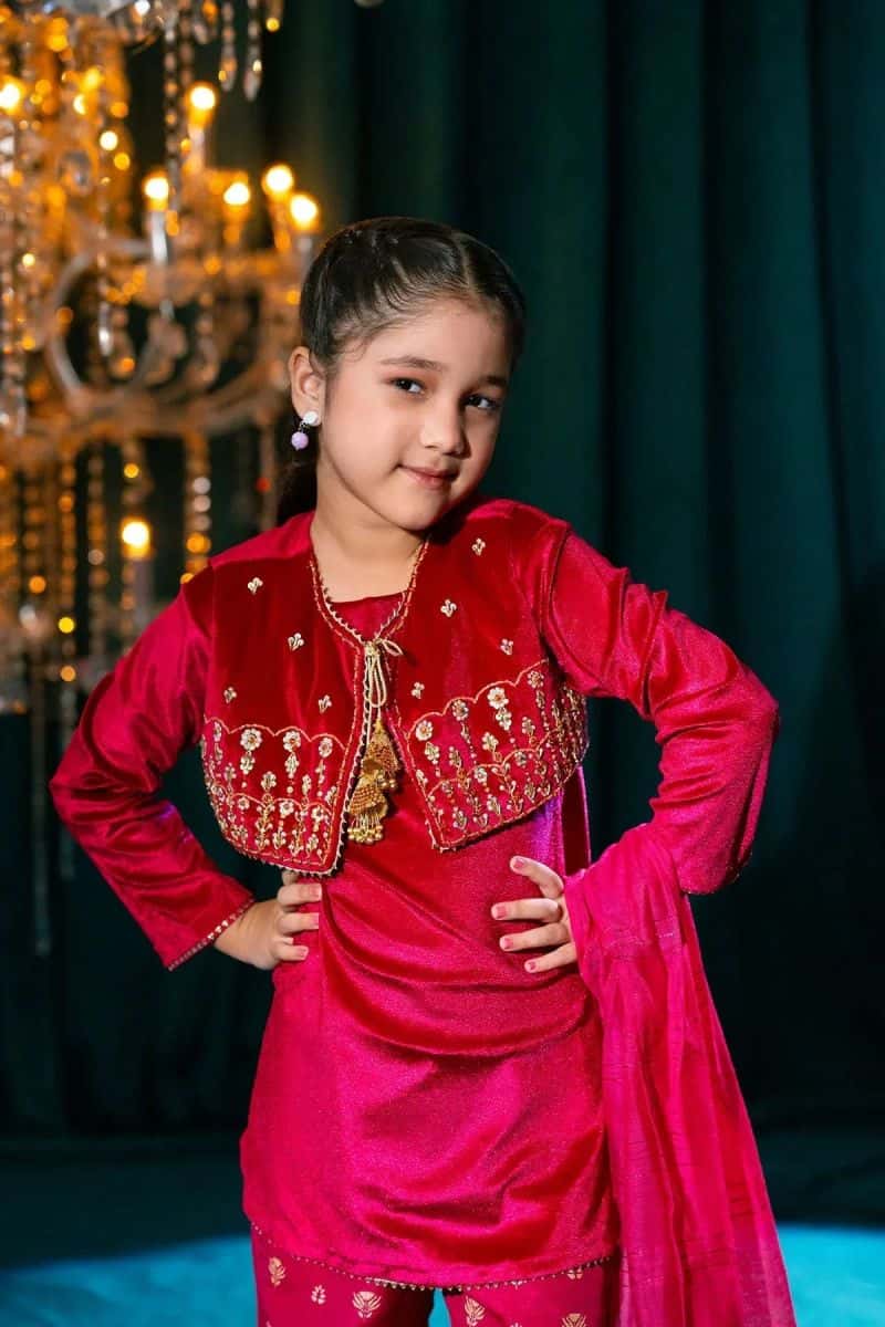 Velvet Hand Adda Work 3 Pc Suit Mini - alternate view