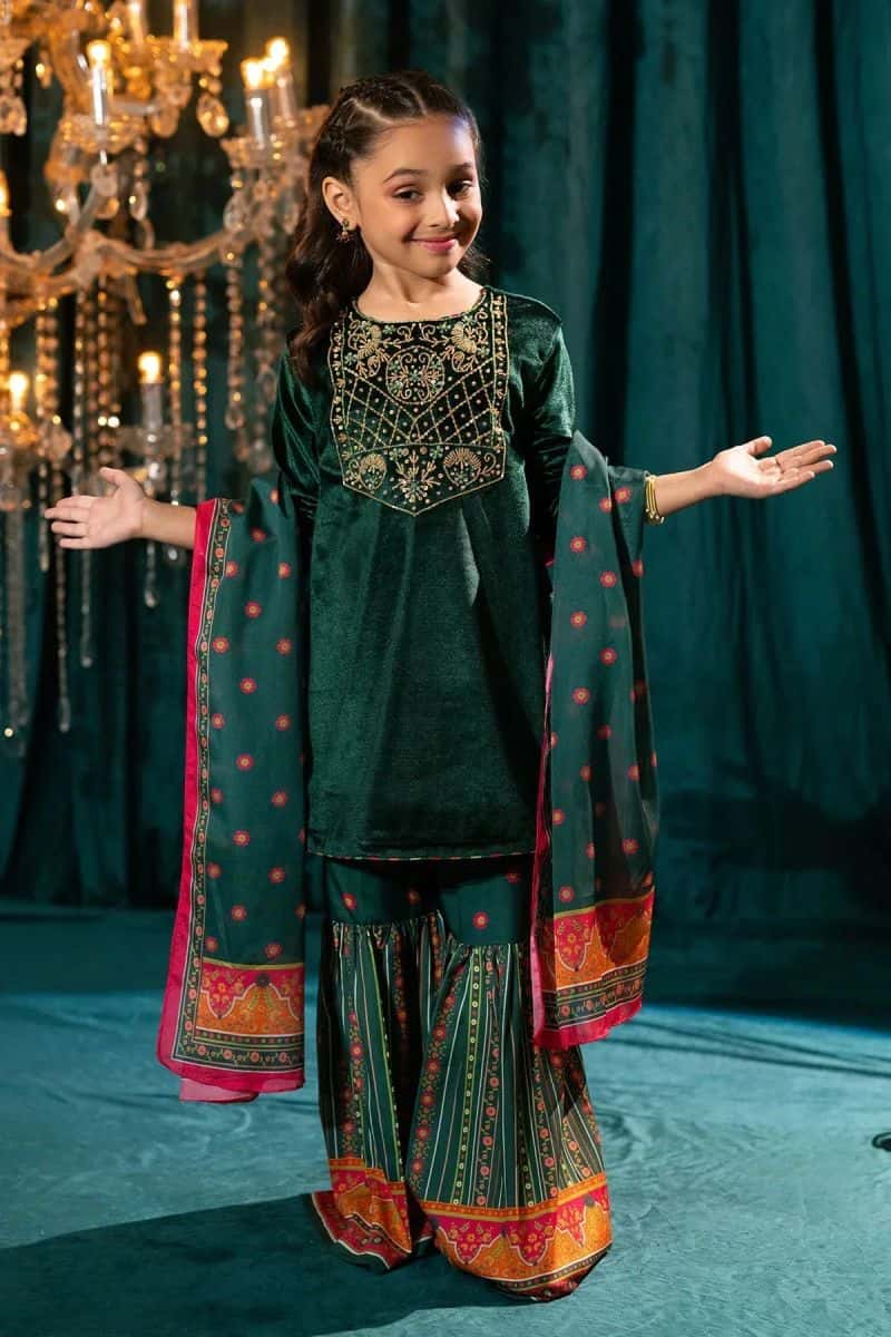Velvet Hand Adda Work 3 Pc Suit Mini