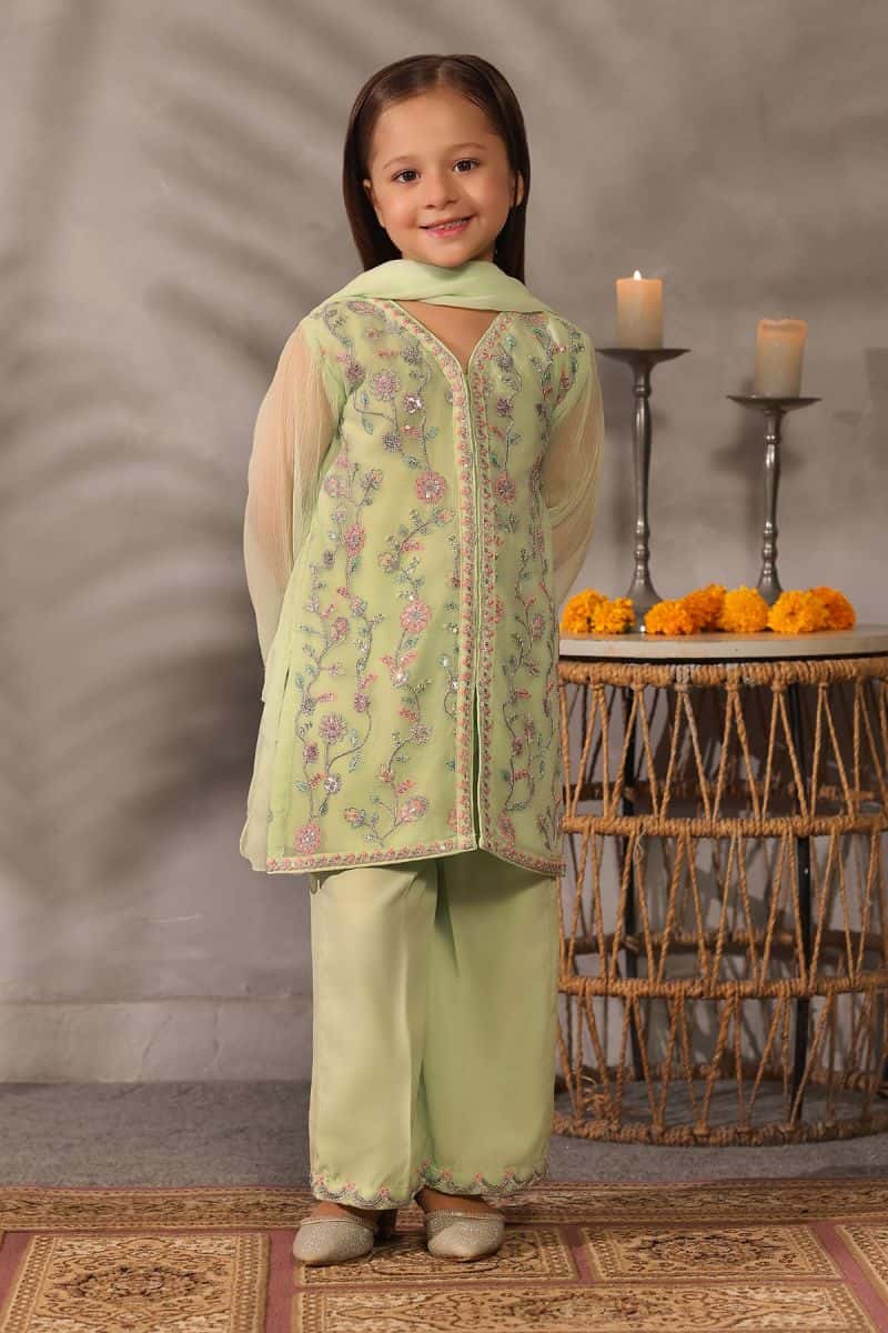 Chiffon Embroidered 3 Pc Suit